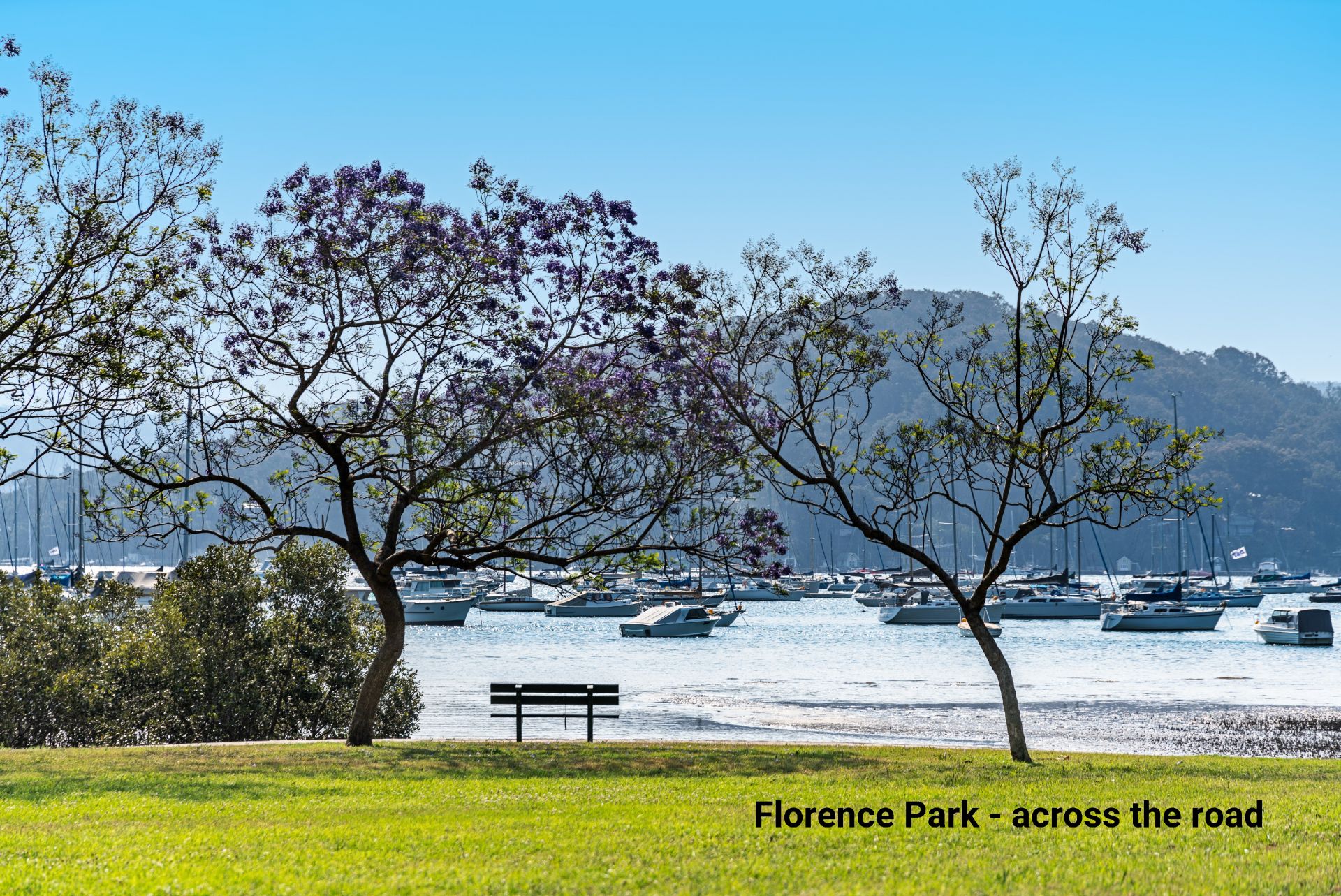 107 Prince Alfred Parade Newport NSW 2106, Newport - Thumbnail 8