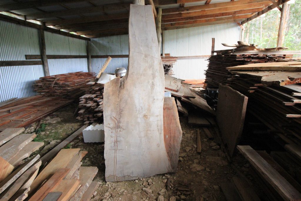 - Clearing Sale @ 240 Brookhouse Rd, PEMBROOKE NSW 2446