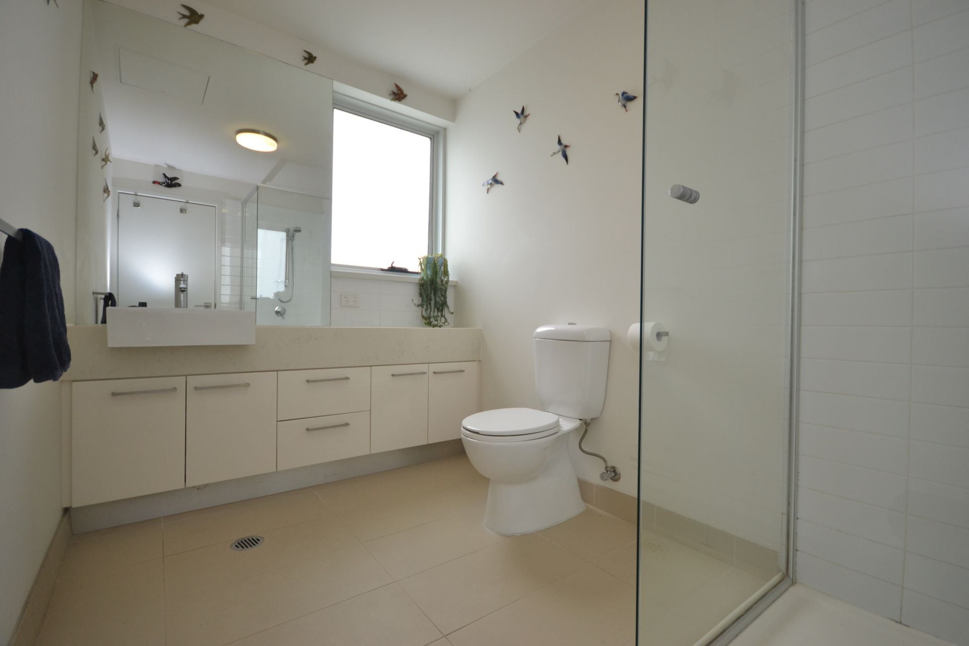 CONTEMPORARY AND CHIC