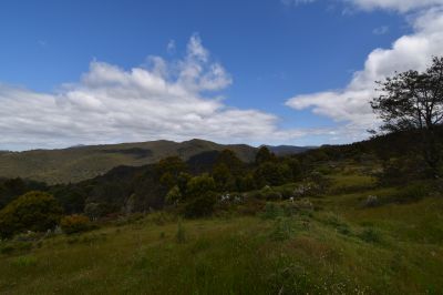 9 Smiths Plains Road, South Nietta, South Nietta - Thumbnail 4