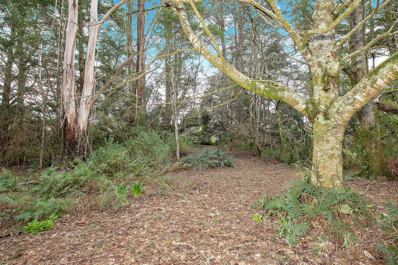 1100 Skenes Creek Road, Tanybryn, VIC, Tanybryn - Thumbnail 3