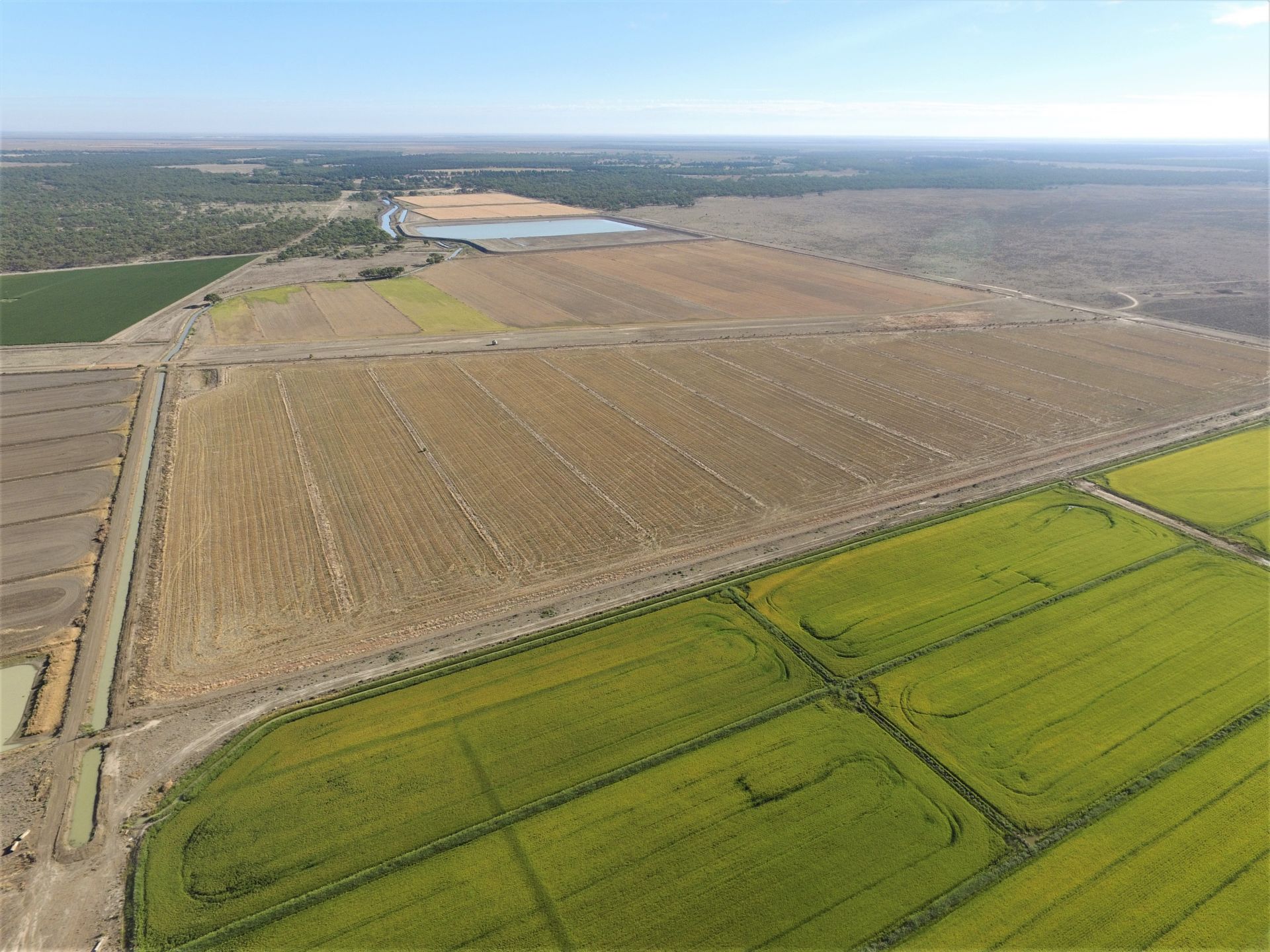 Cobb Highway, Hay, Hay - Thumbnail 8
