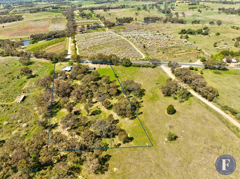 4279 Olympic Highway, Young NSW, Young - Thumbnail 4