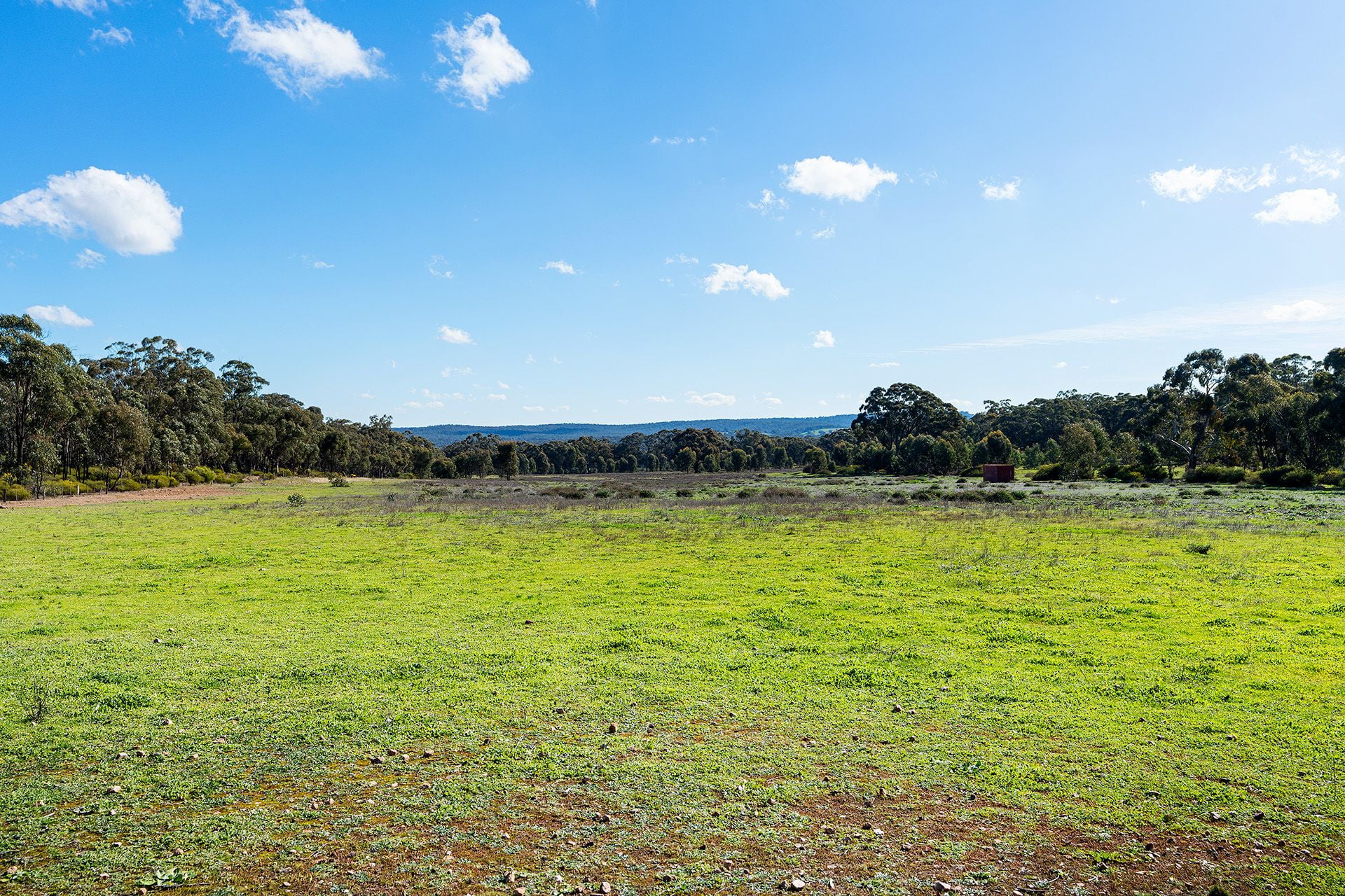 Lot 5, 58 Main Street Eldorado, Harcourt - Thumbnail 6