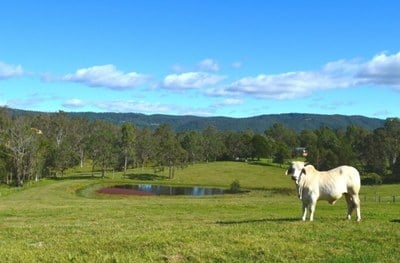 One of Samford's Best positions, rare 11 acres, 360 views, 3 mins to the Village