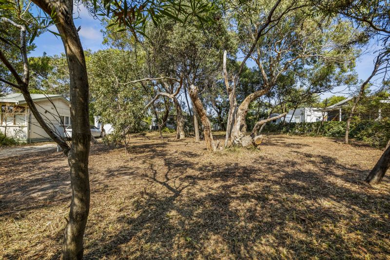 12 Fernald Avenue, Anglesea, VIC, Anglesea - Thumbnail 5