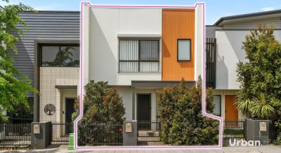 Oran Park, 195 South Circuit