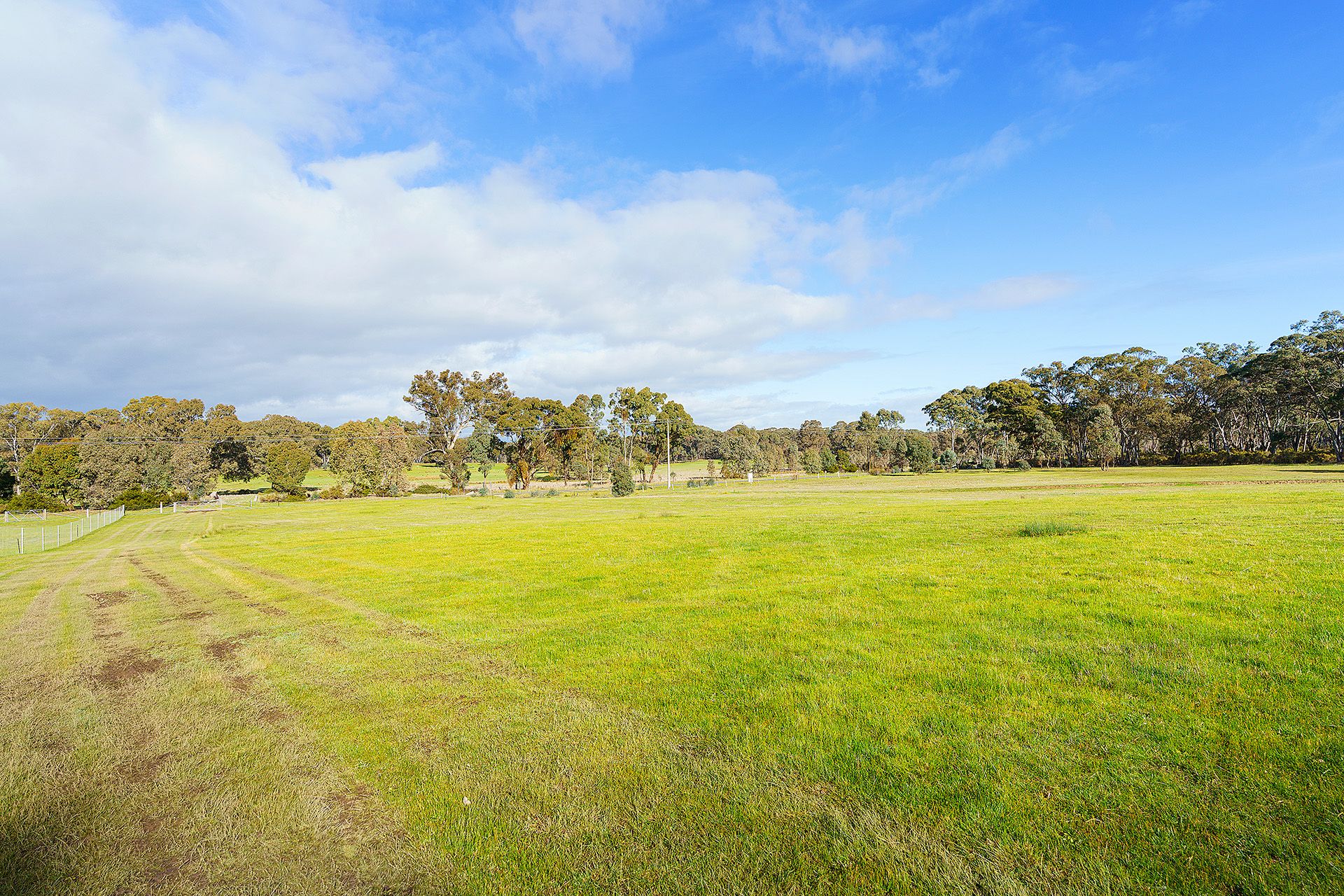 5 Adams Road, Harcourt - Thumbnail 8