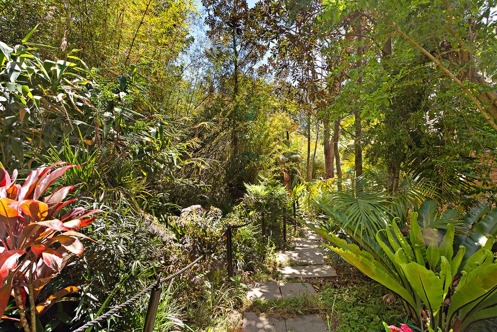 Real Estate For Sale 73 Garland Road Naremburn , NSW