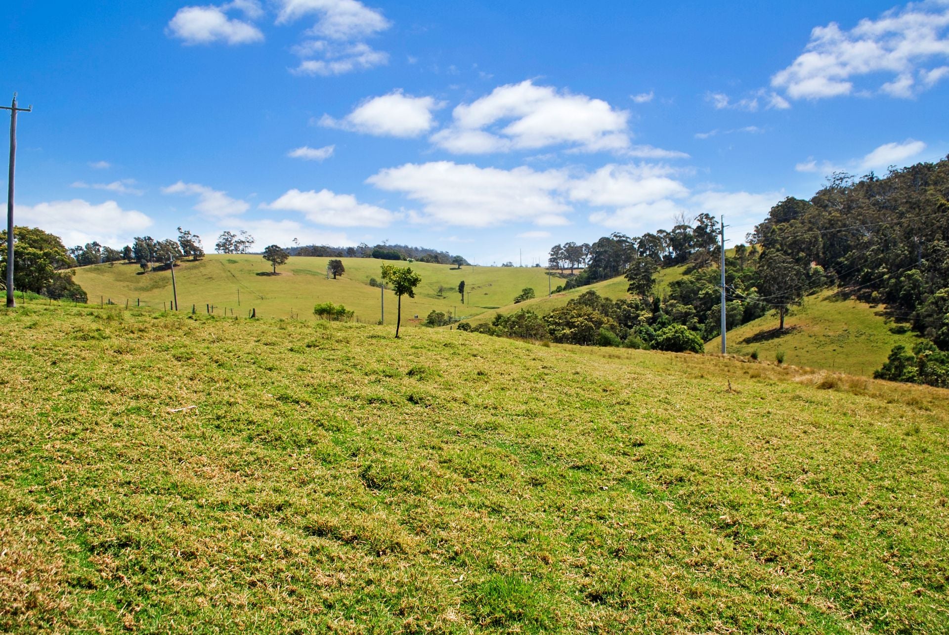 232 Bald Hills Road, Bald Hills