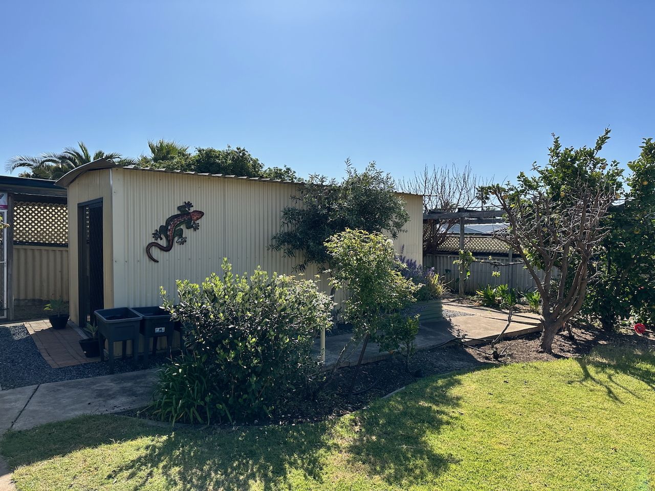 21 Marmora Terrace North Haven 5018