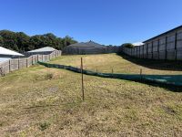 5 Soapbush Court Palmwoods QLD, Palmwoods - Thumbnail 4