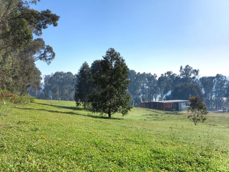 2890 Pinjarra-Williams Road Dwellingup WA, Dwellingup - Thumbnail 6