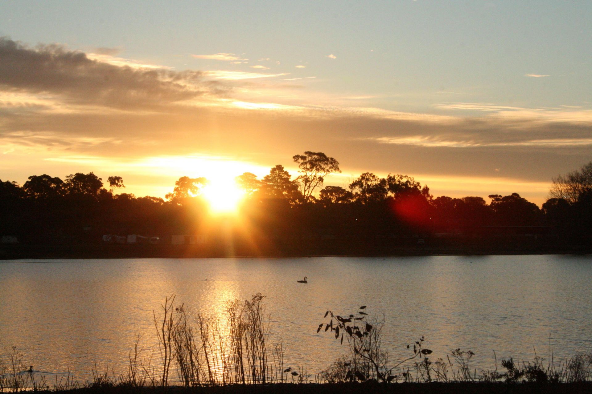 Lot 35 Eucalyptus Court Beaufort VIC, Beaufort - Thumbnail 5