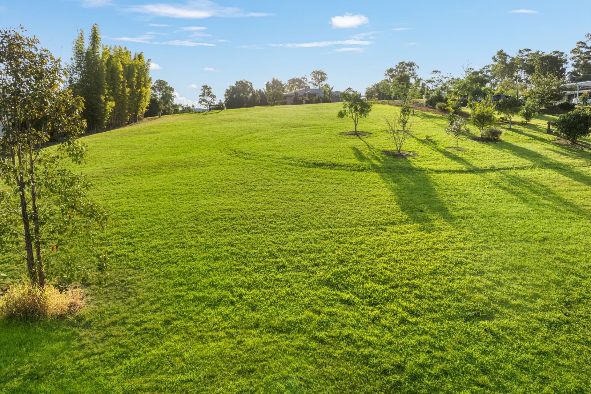 12 Forest Ridge Drive, Tamaree - Thumbnail 6