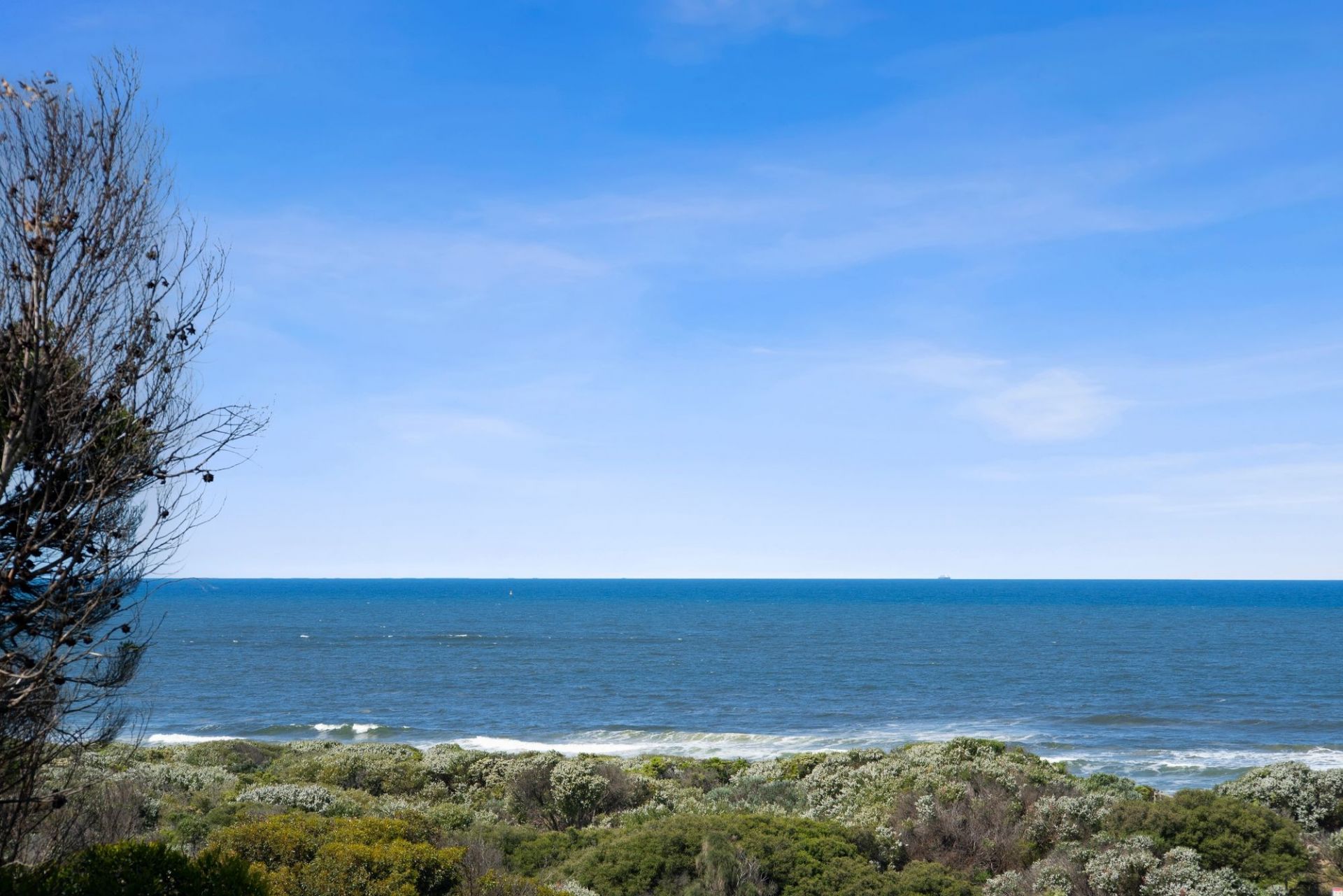 115 Orton Street Ocean Grove VIC, Ocean Grove - Thumbnail 4