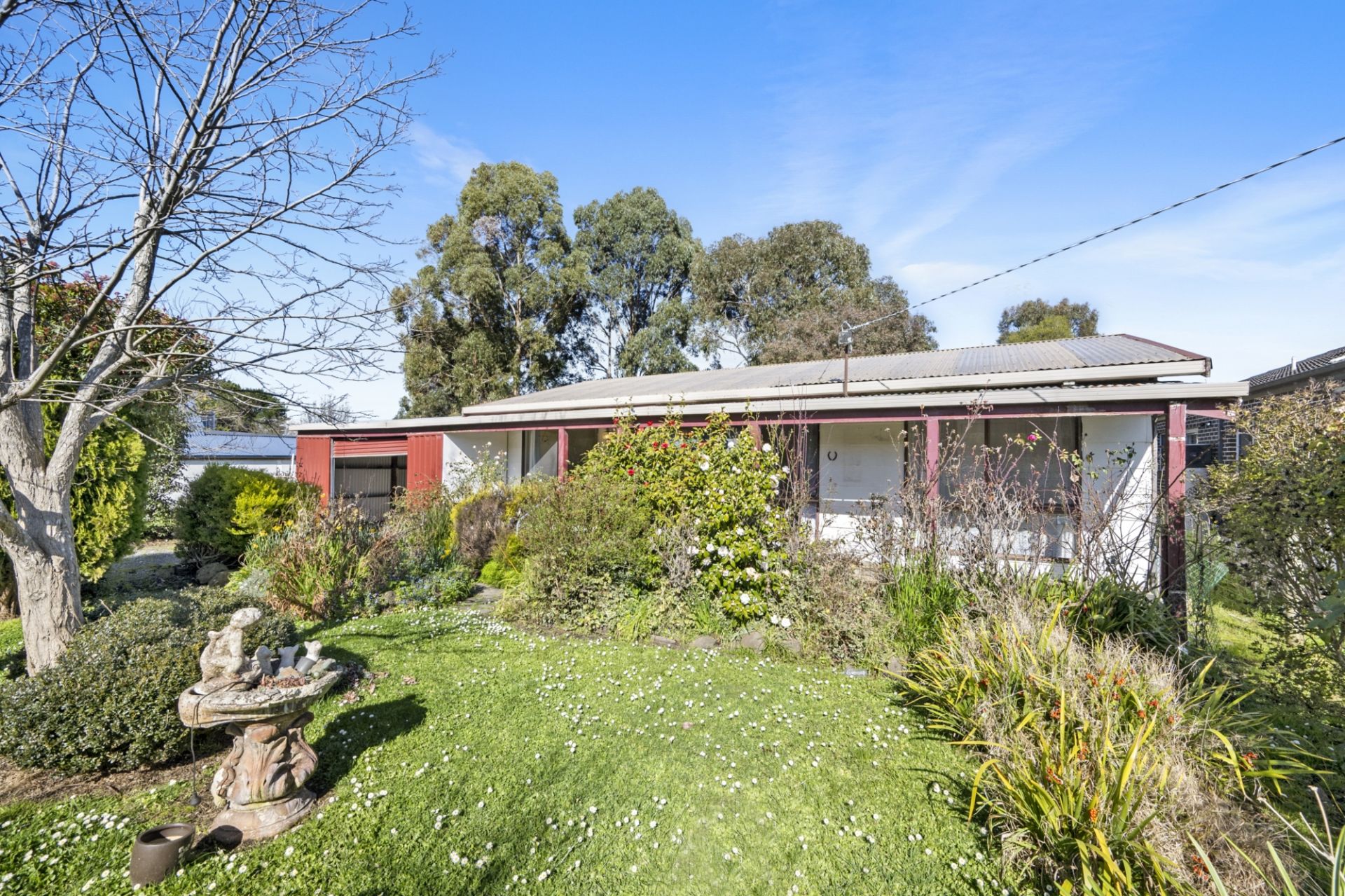 18 Jory Street, Creswick, Creswick - Thumbnail 3