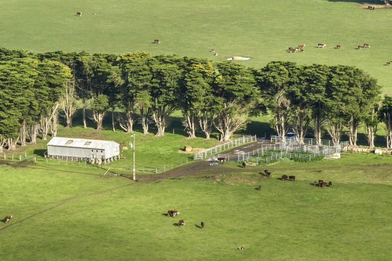 250 Collyers Road, Warncoort, VIC, Warncoort - Thumbnail 5