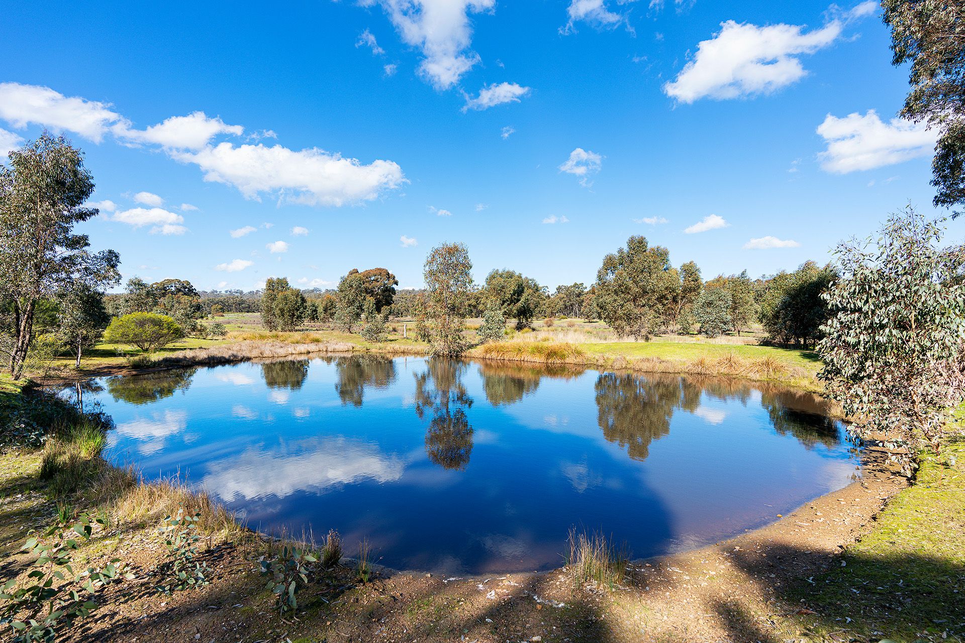 Lot 5, 58 Main Street Eldorado, Harcourt - Thumbnail 4