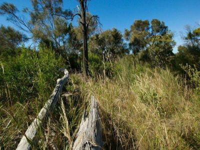 Summerhill Drive, PORT SORELL, Port Sorell - Thumbnail 7