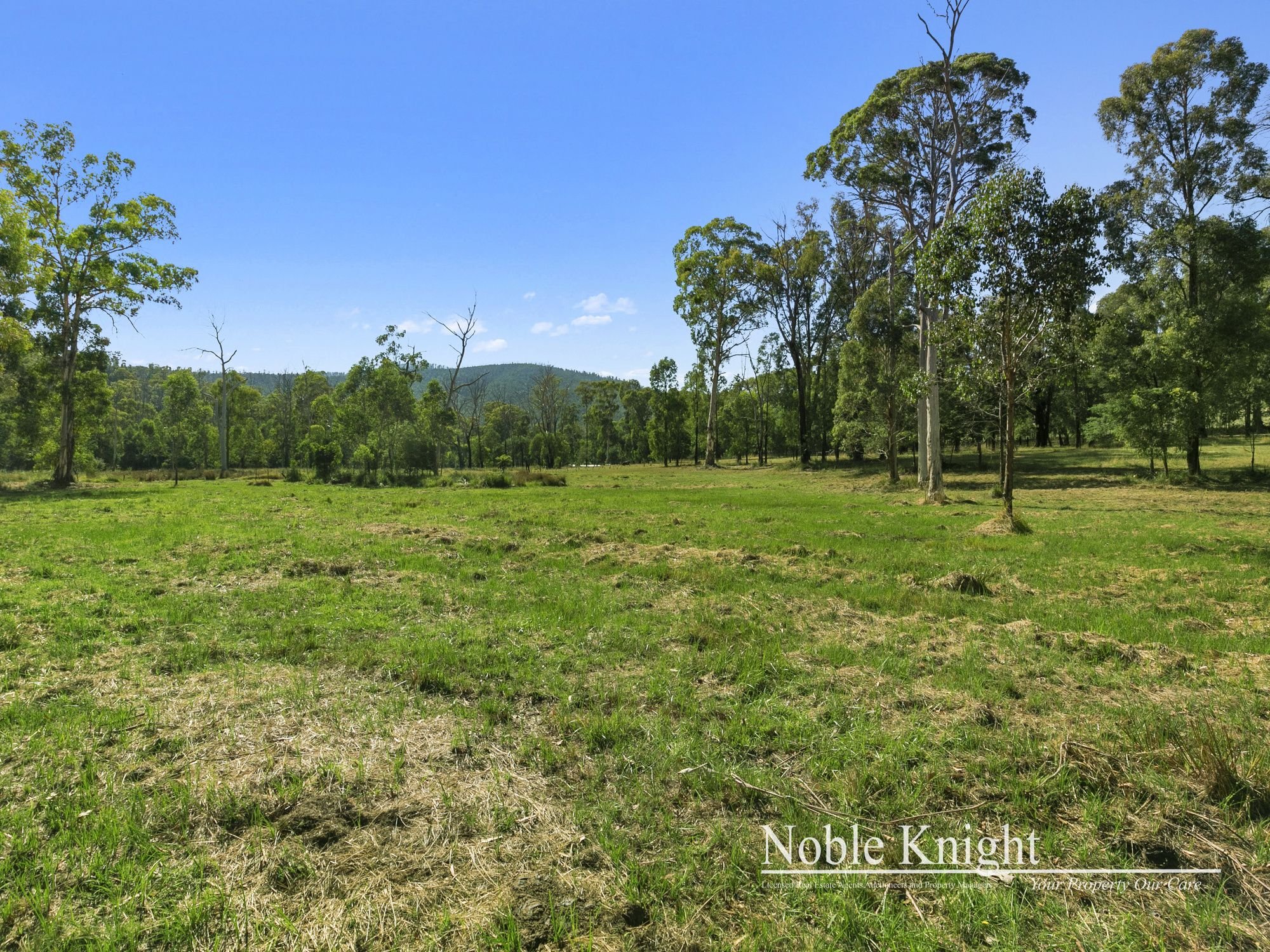 253 Wilhelmina Falls Road Murrindindi