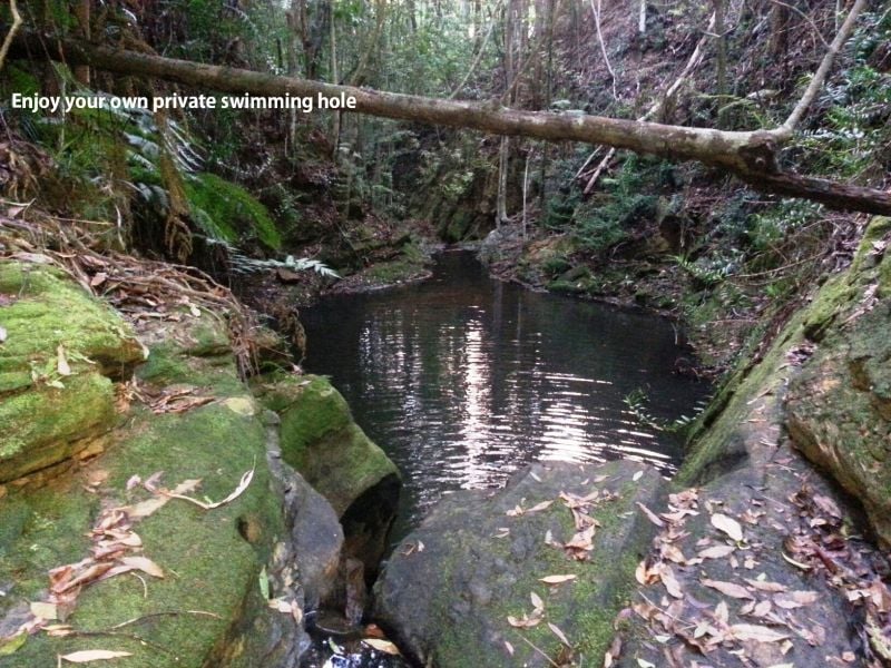 43 Bagnall Road Towen Mountain QLD, Towen Mountain - Thumbnail 5