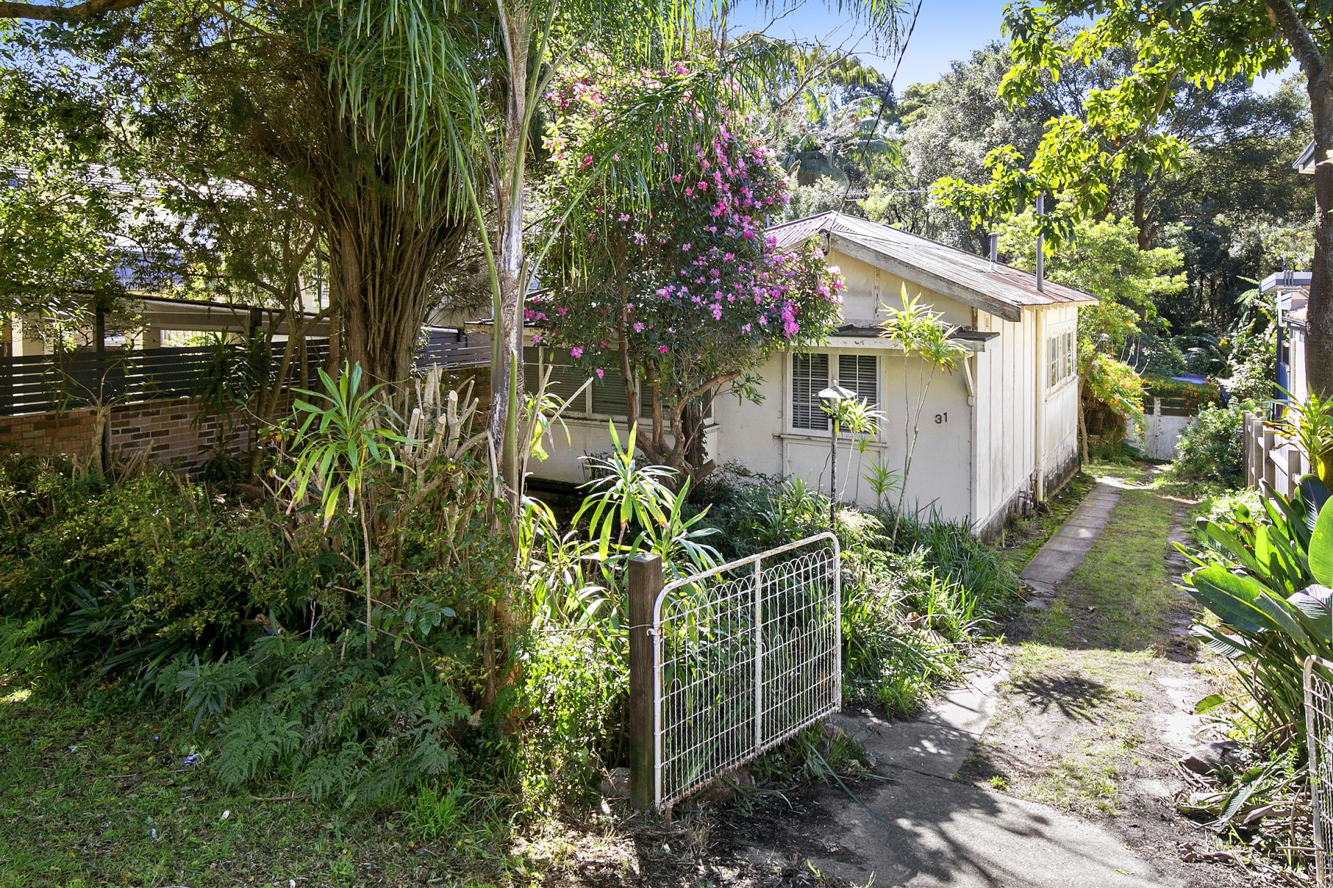 Real Estate For Sale 31 Condover Street North Balgowlah , NSW