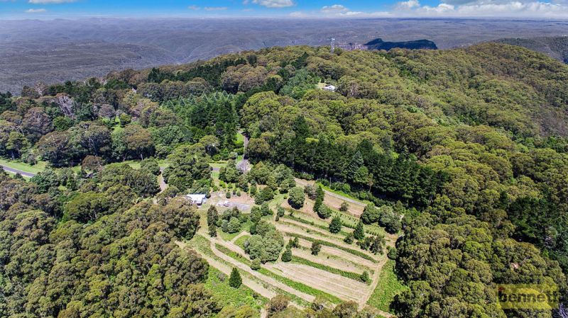 14-34 Rainbow Ravine Road, Mount Tomah - Thumbnail 4