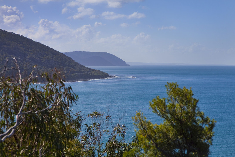 6 Sturt Court, Wye River, VIC, Wye River - Thumbnail 3