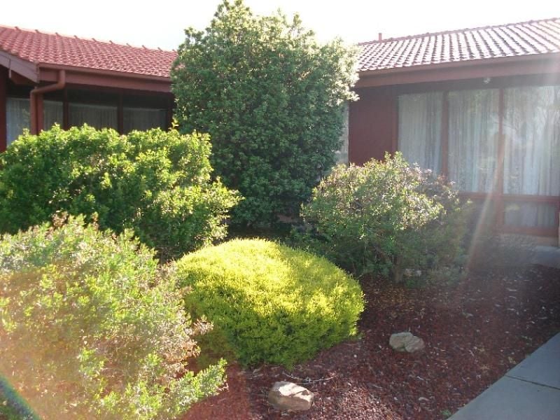 17 Ebony Avenue Modbury North 5092