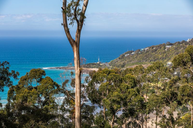 13 Koonya Avenue, Wye River, VIC, Wye River - Thumbnail 2