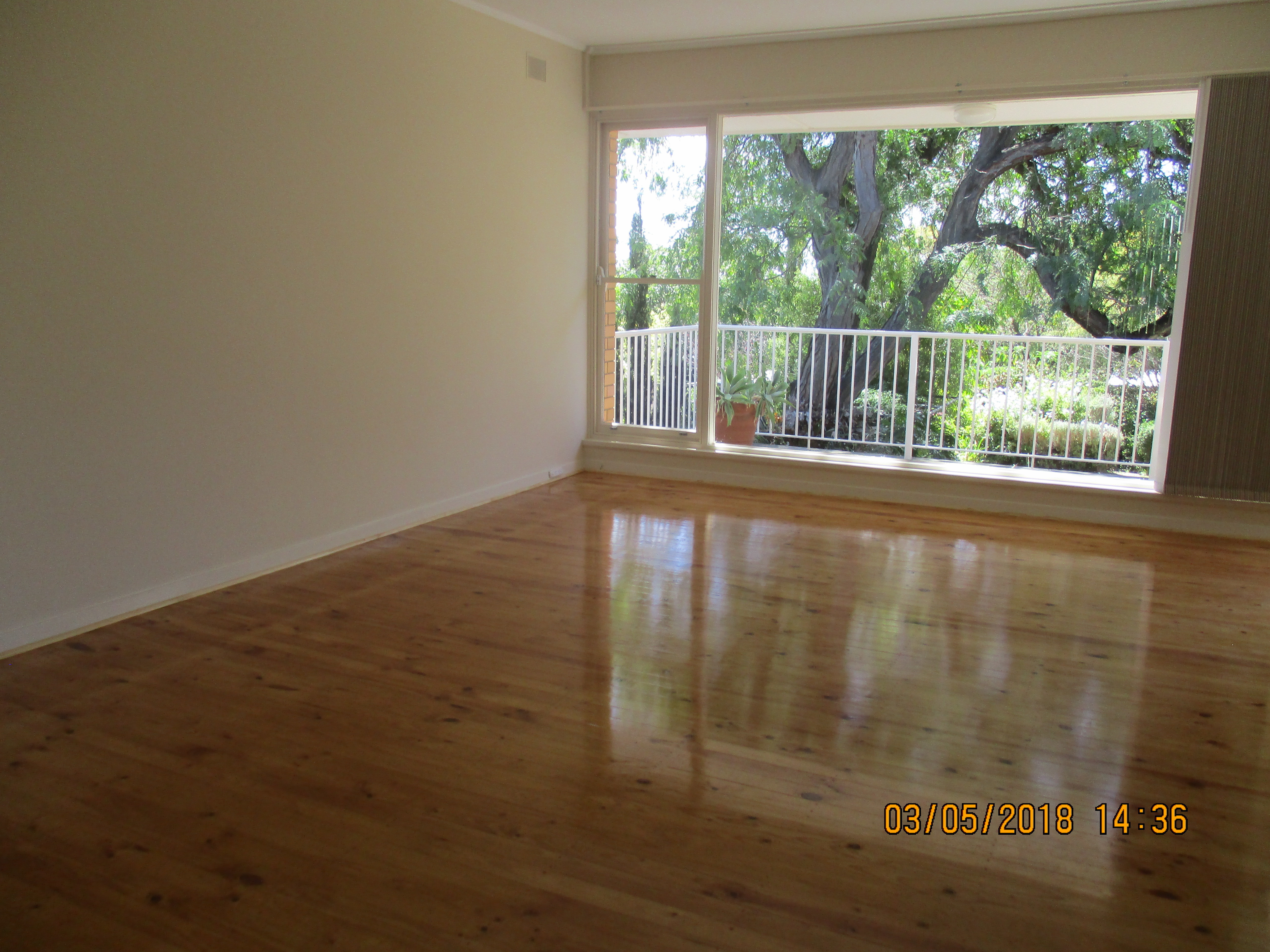 61 Dashwood Road Beaumont 5066