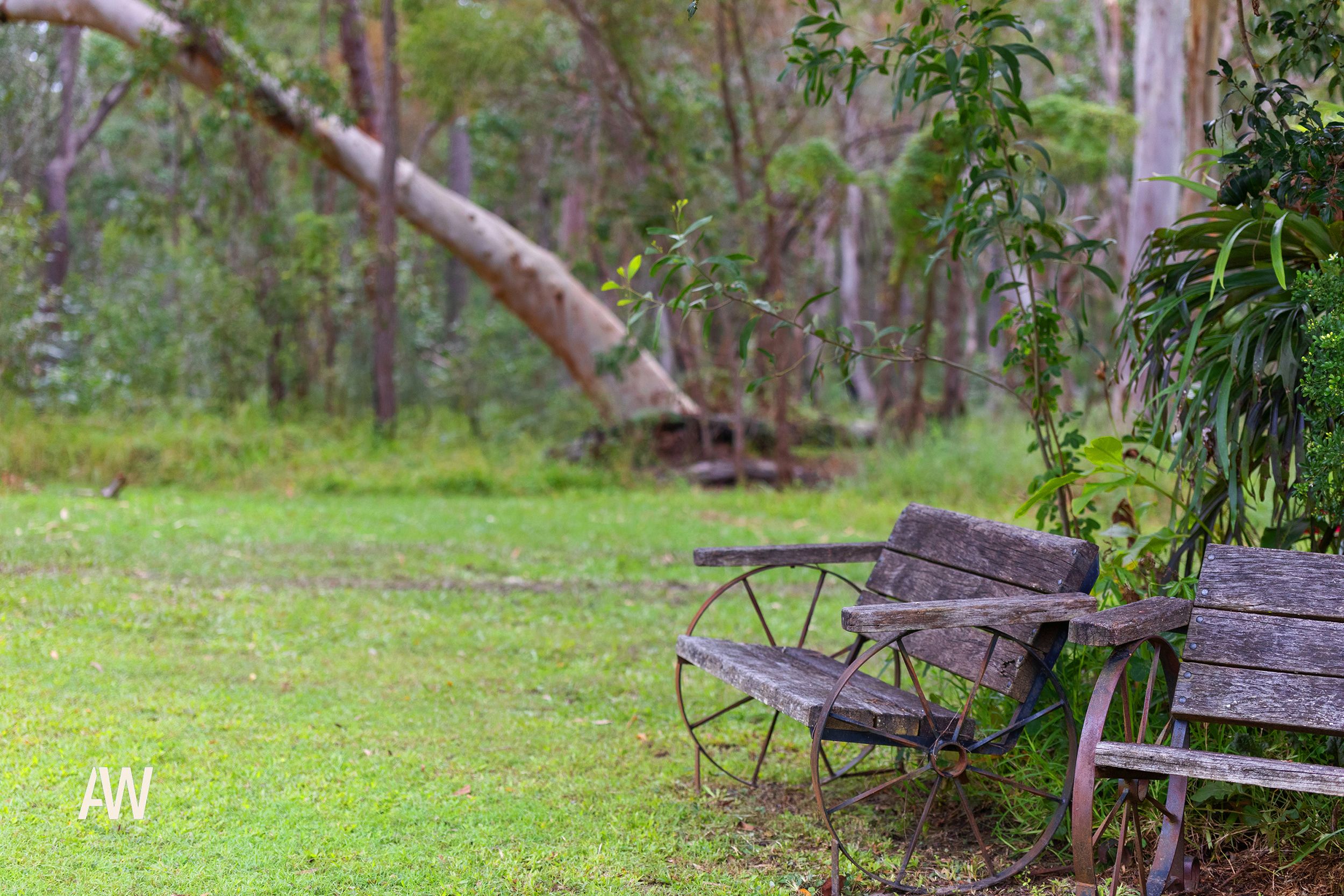 Real Estate For Sale 50 Morning Glory Drive Cooroibah , QLD