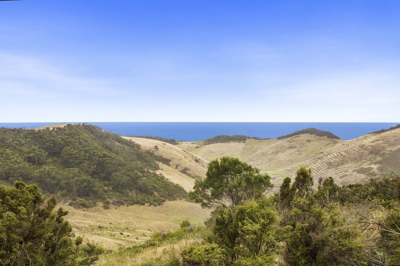 650 Blue Johanna Road, Johanna, VIC, Johanna - Image 1