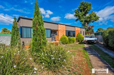 3
 
 
 
  
 
 
 2
 
 
 
 
 
 
 
 
 16 Springfield Court, Devonport TAS 7310, Devonport - Thumbnail 2