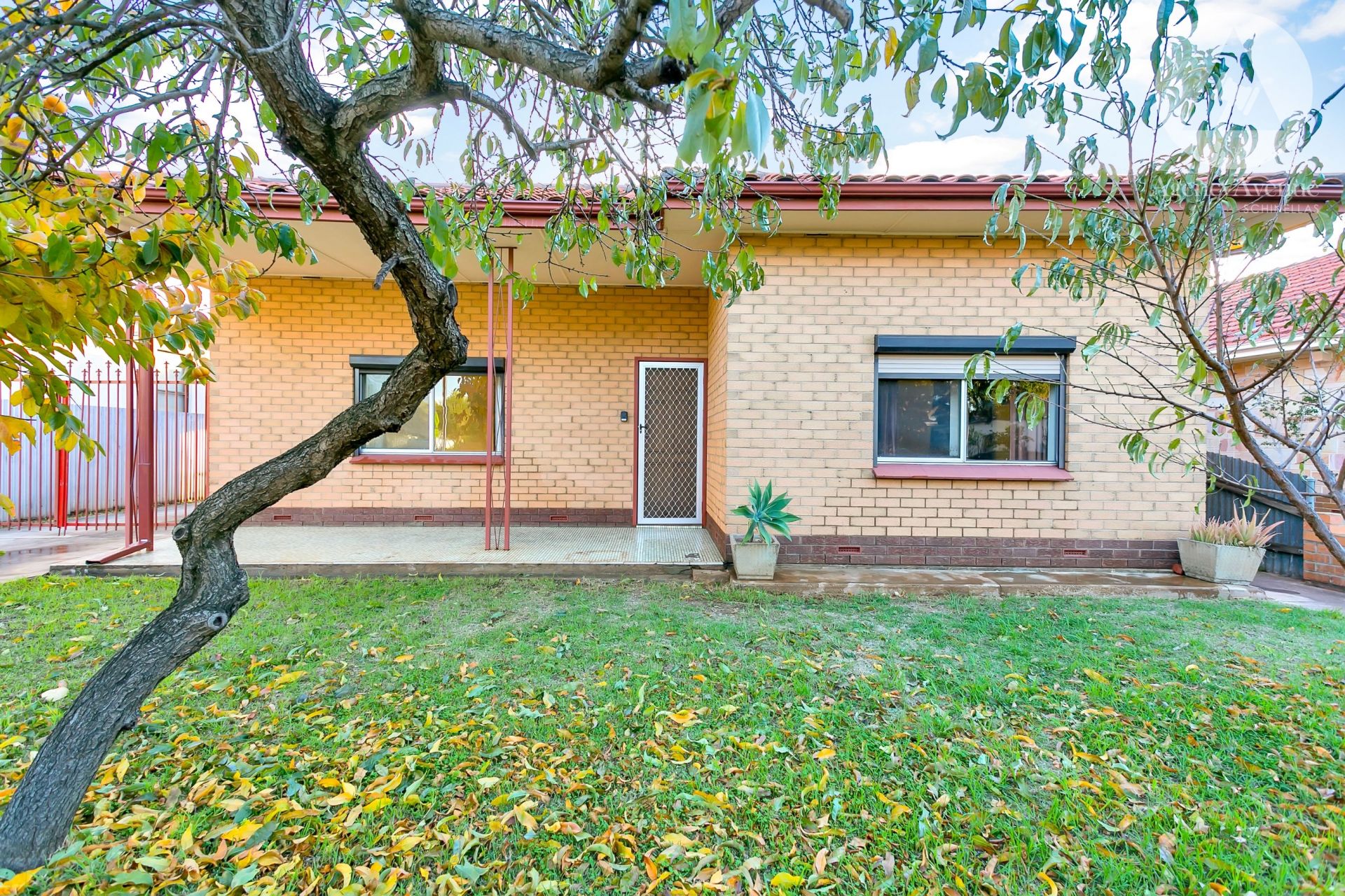 31 McDonnell Avenue, West Hindmarsh - Thumbnail 4