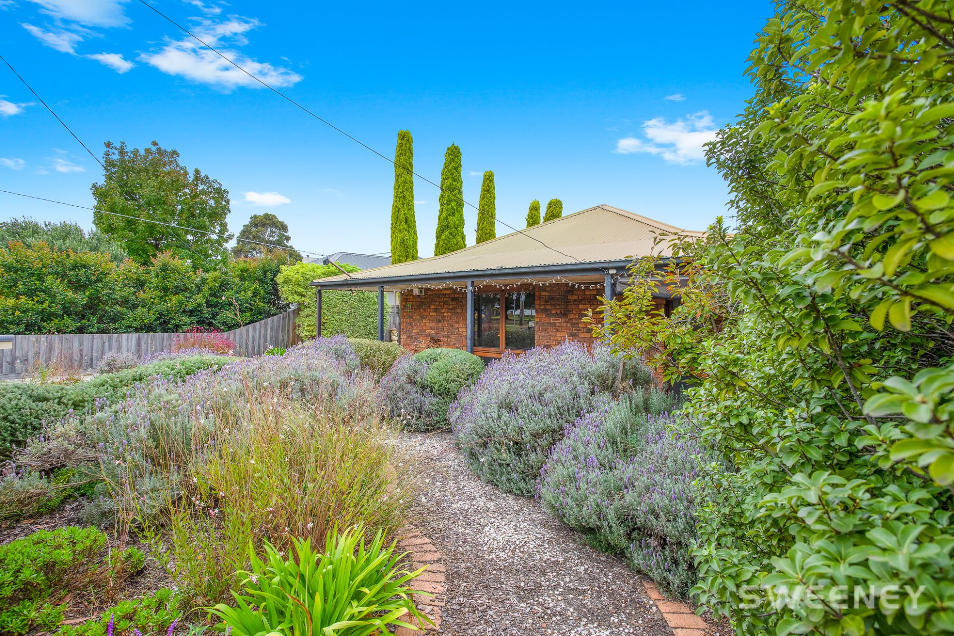 206 Blyth Street, Altona - Thumbnail 2