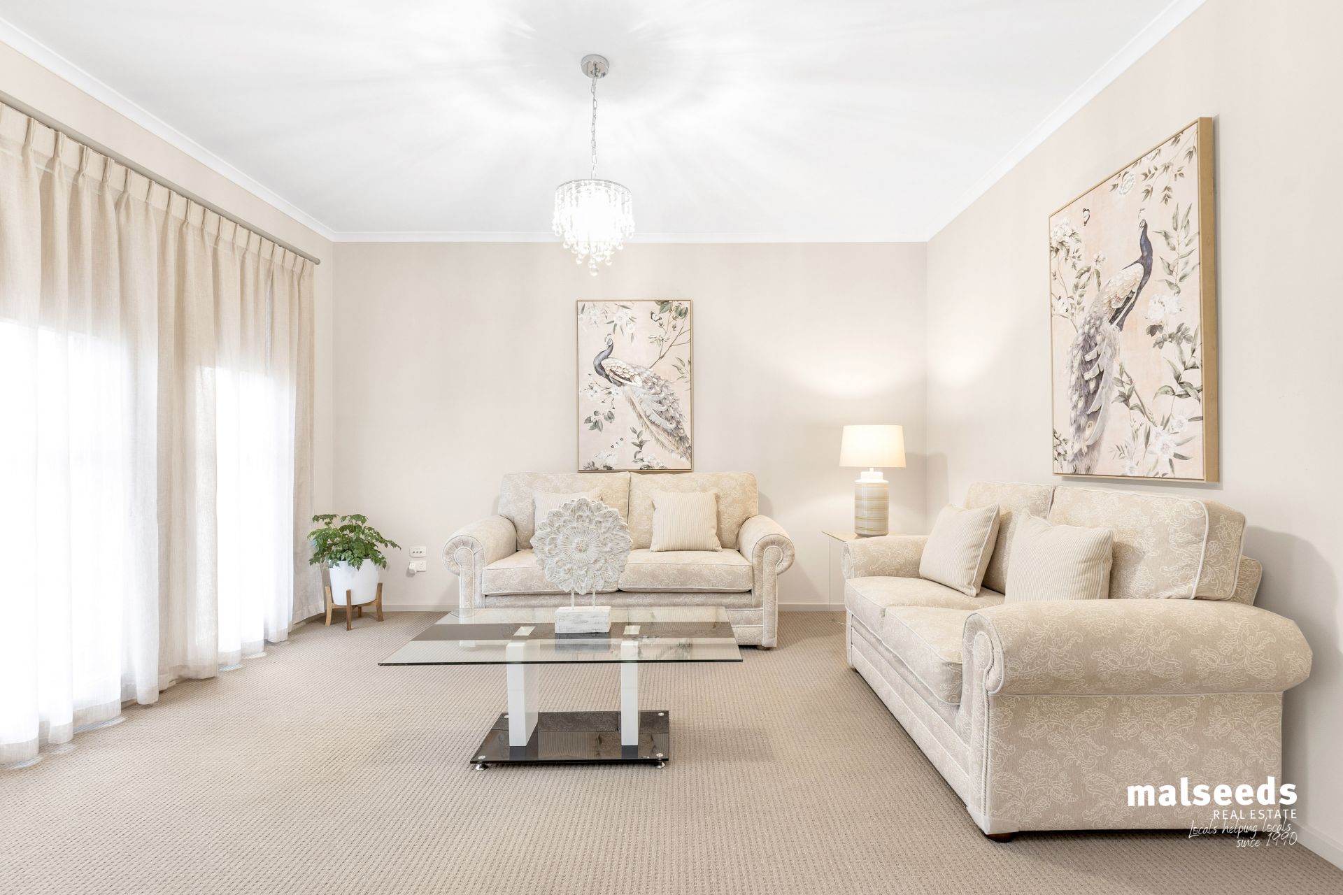 137 Mount Gambier Road, Millicent Malseeds Real Estate