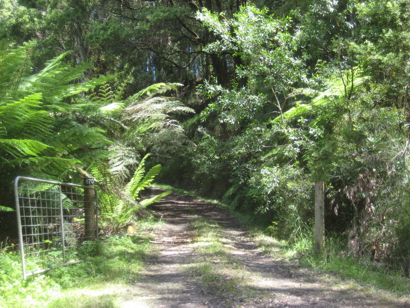870 Forrest Apollo Bay Road, Barramunga, VIC, Barramunga - Thumbnail 4