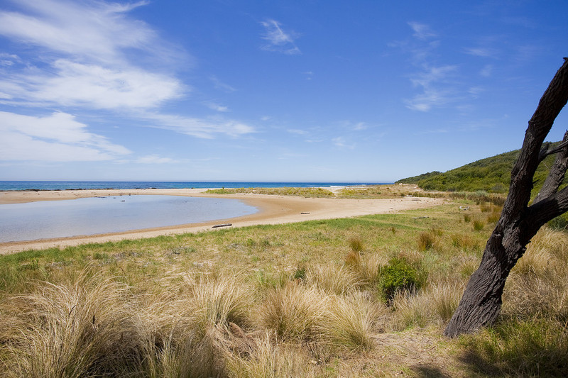 15 Great Ocean Road, Kennett River, VIC, Kennett River - Thumbnail 6