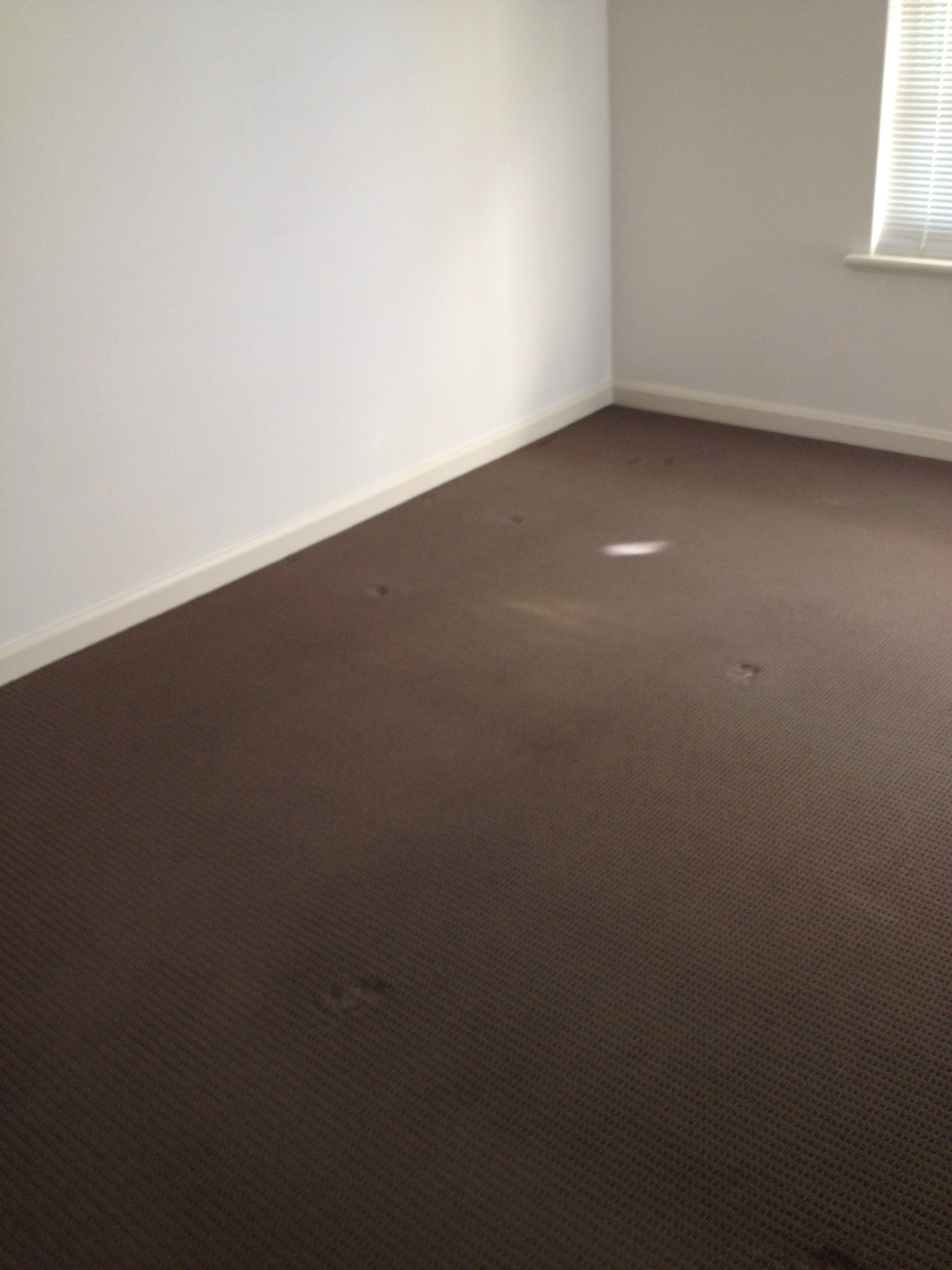 2/24 McKenna Street Kensington Park 5068