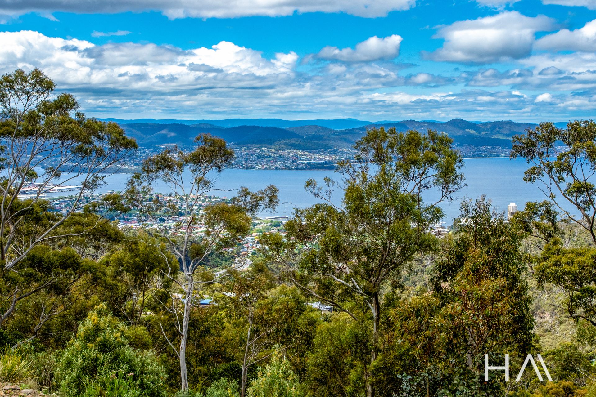 31 Hillcrest Road, Tolmans Hill Harrison Agents