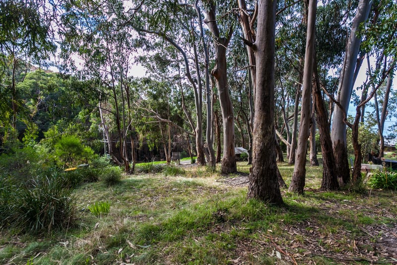 10 Cassidy Drive, Kennett River, VIC, Kennett River - Thumbnail 5