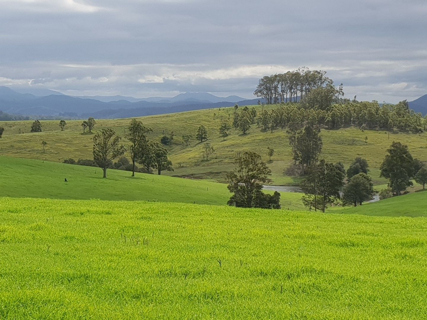 Sold property: Sold Price for Lot 5 Ebsworth Road - Glen ...