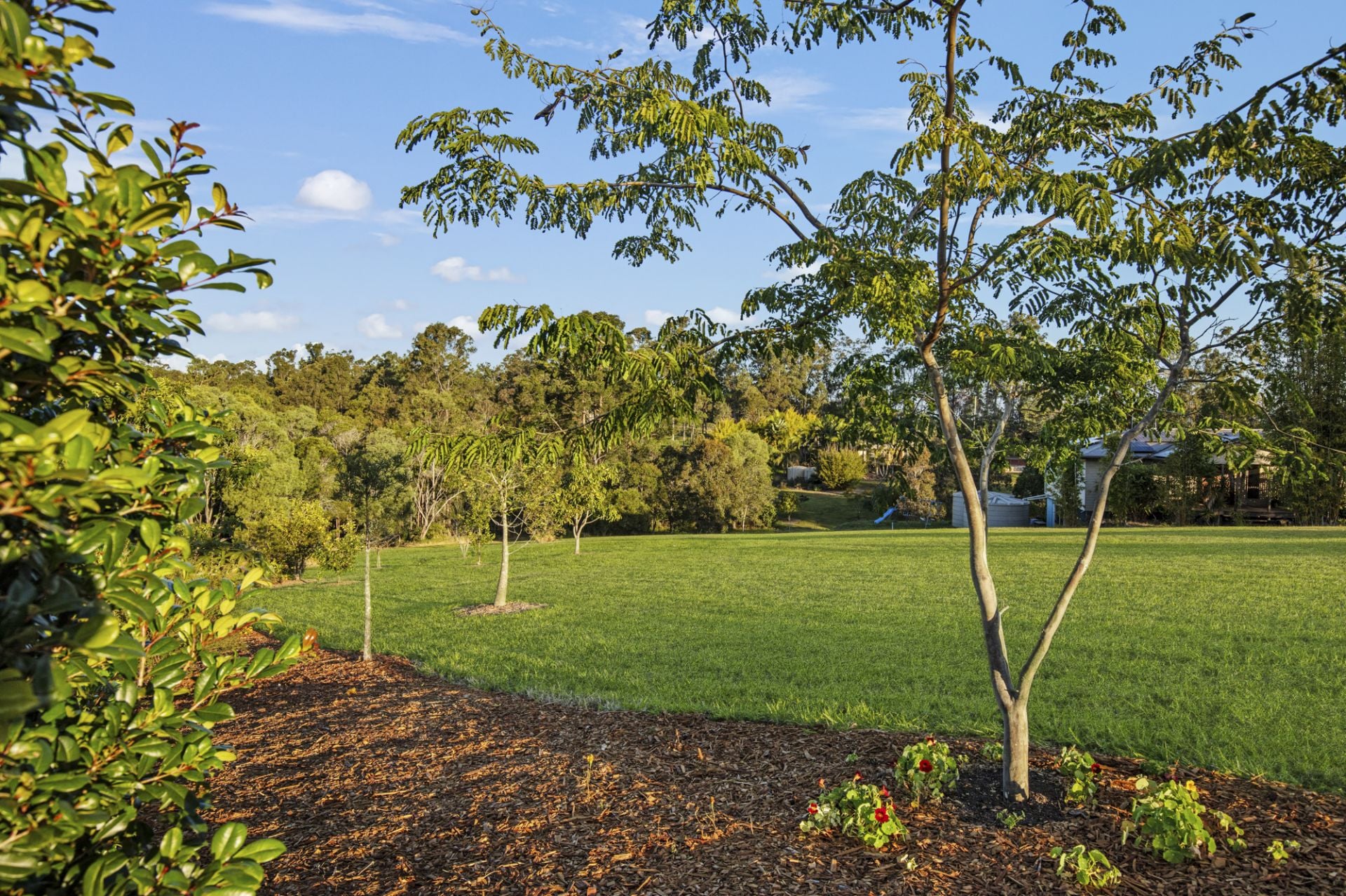12 Forest Ridge Drive, Tamaree - Thumbnail 4