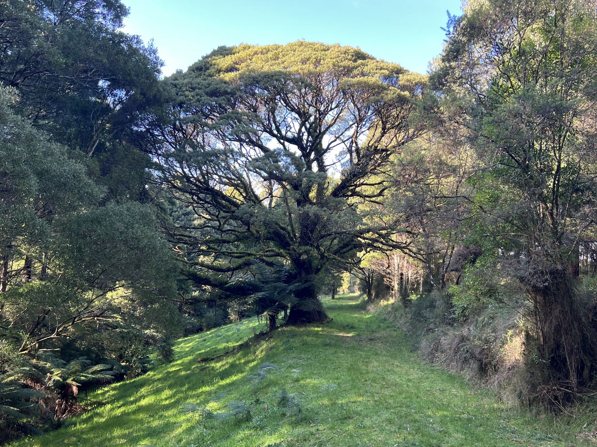 Lot 2/56-58 Broughtons Access, Skenes Creek North - Thumbnail 2