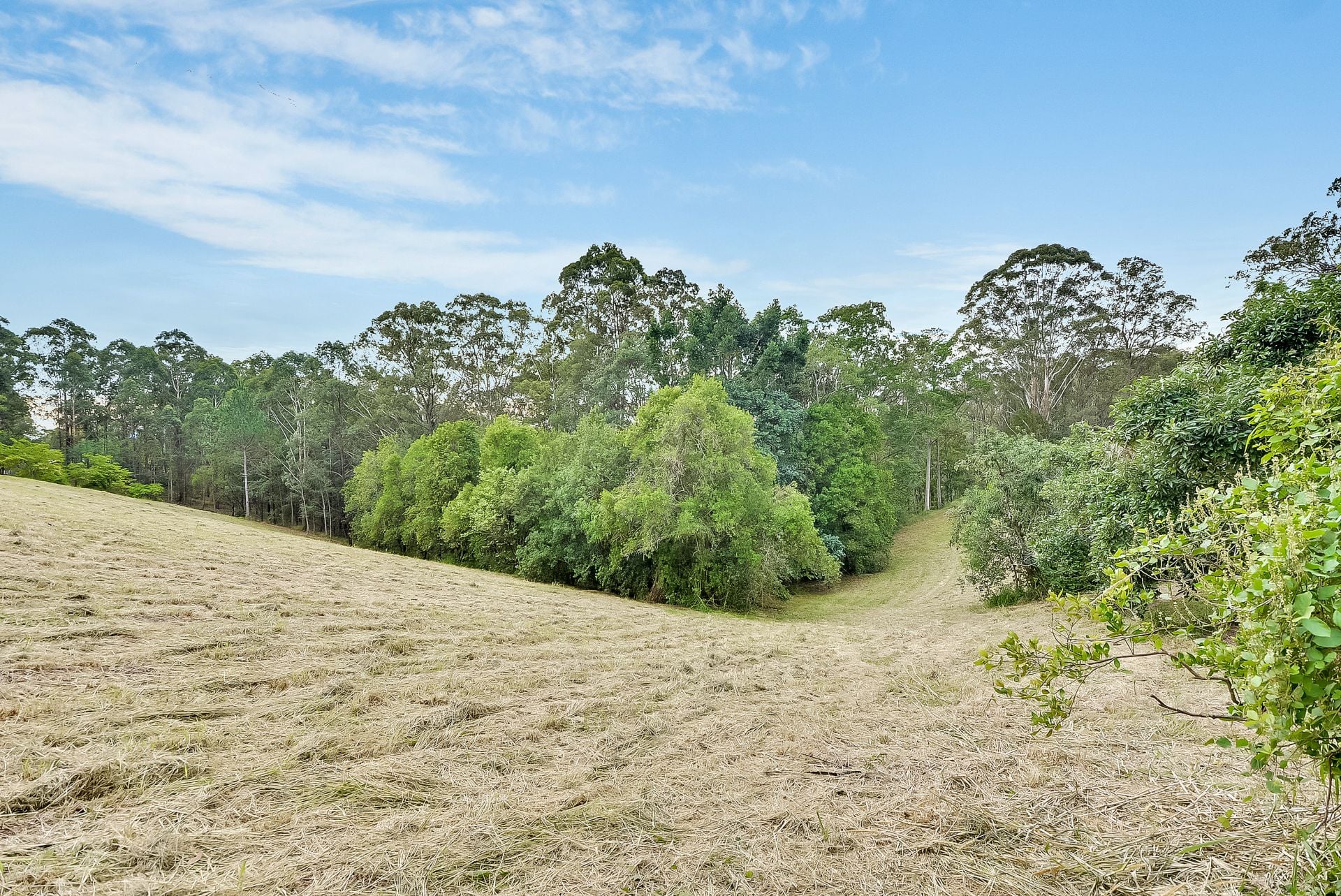 418 Upper Landershute Road Palmwoods QLD, Palmwoods - Thumbnail 3