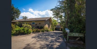 Packed With Potential