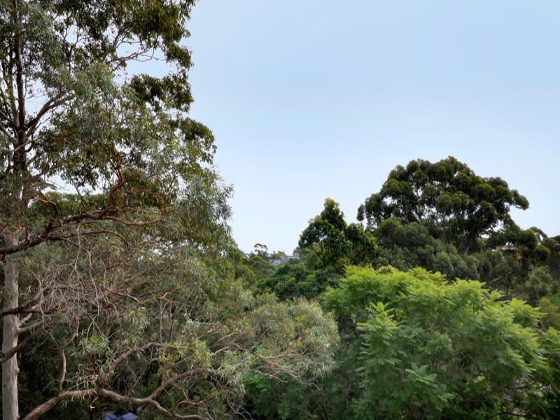 10/24-28 Helen Street LANE COVE NSW, Lane Cove - Image 1