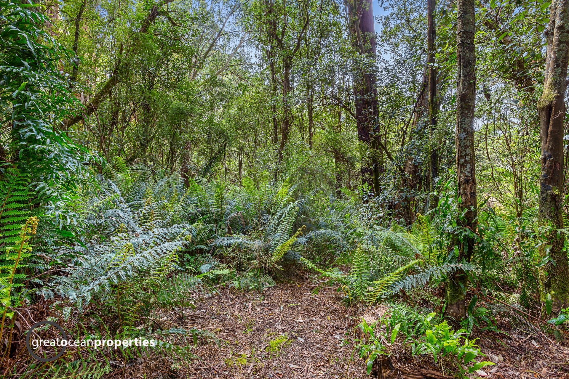 70 Broughtons Access, Skenes Creek North - Thumbnail 6